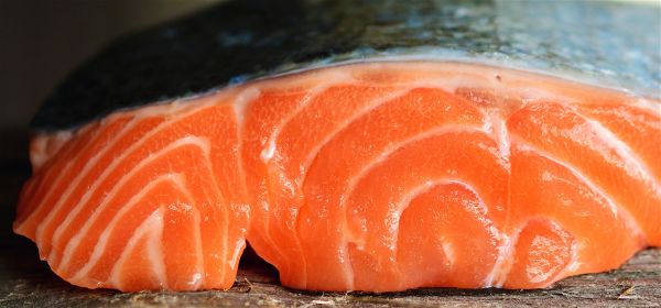 Salmond fish meat