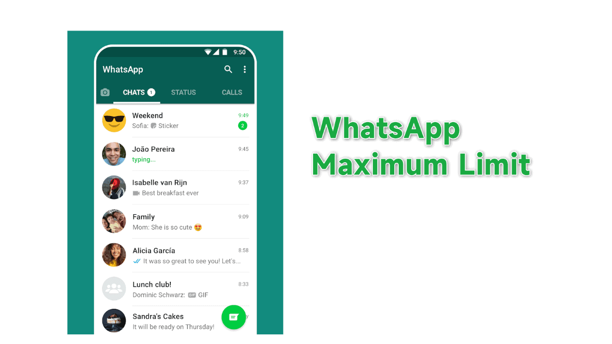 WhatsApp Maximum Limit