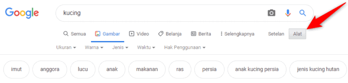 Alat penelusuran gambar google