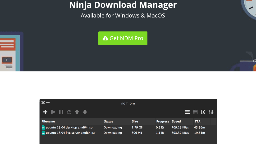 Ninja Internet Download Manager NDM