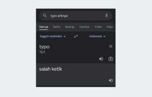 Typo artinya
