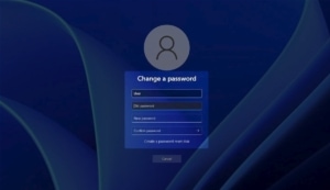 windows minta ganti password