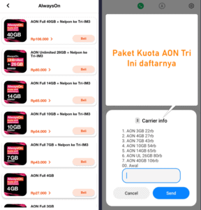 Apa itu Kuota AON Tri, Ini Cara Menggunakan Paketnya